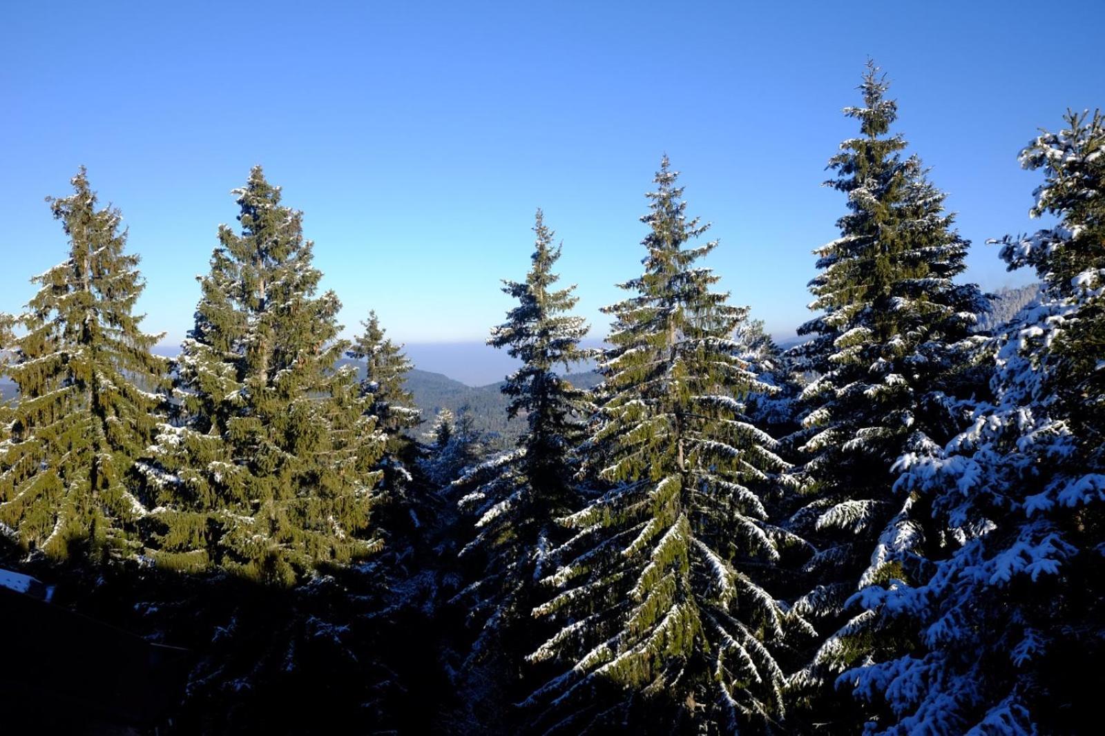 Your Place Borovets Exterior photo